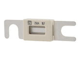 1001170485 Fuse, 250 Amp | JLG